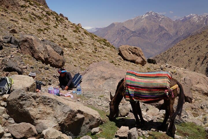 Atlas Mountains Day Trip from Marrakech: Guided Berber Hike & Traditional Lunch photo 6