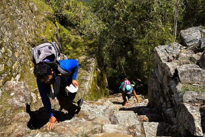 Full-Day Train Tour to Machu Picchu from Cusco: What to Expect and How to Prepare photo 3