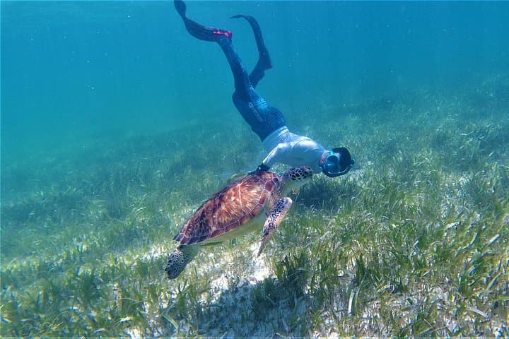 3-Hour Costa Maya Snorkeling Adventure in Mahahual on the Great Mesoamerican Reef photo 2