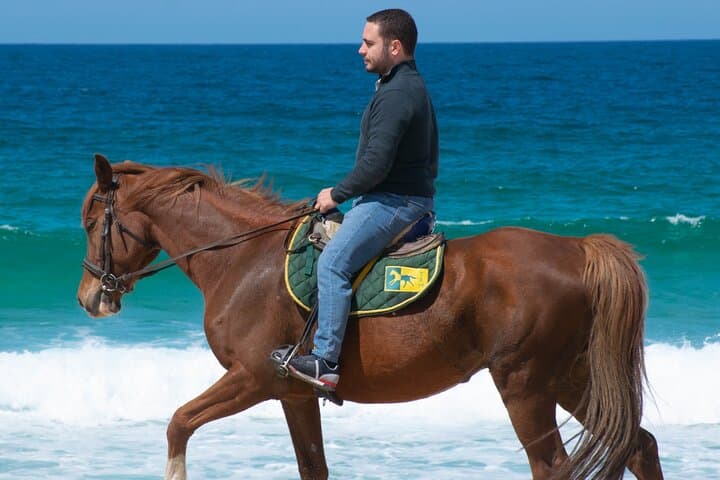 Horse Riding on Melides Beach: Atlantic Forest Trails to Europe’s 65 km Shoreline