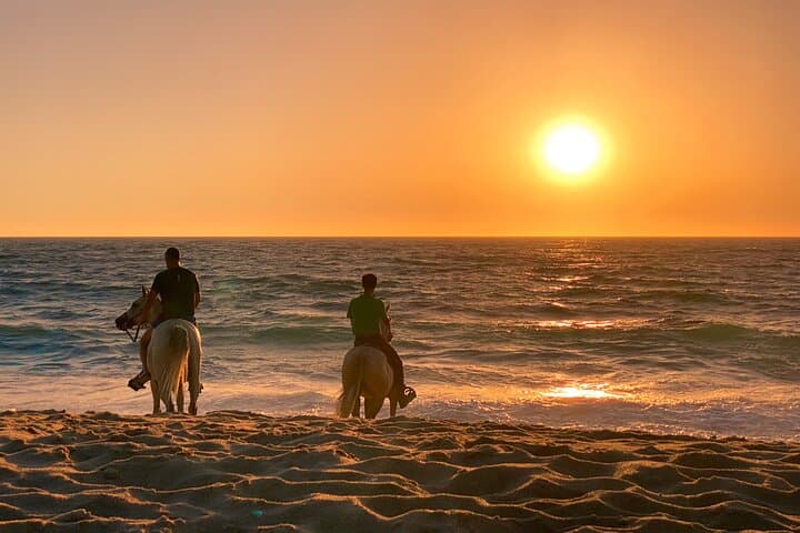 Horse Riding on Melides Beach: Atlantic Forest Trails to Europe’s 65 km Shoreline photo 2