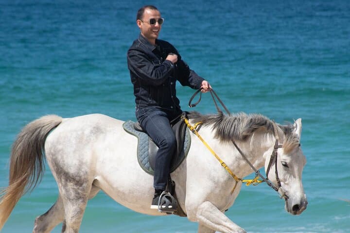 Horse Riding on Melides Beach: Atlantic Forest Trails to Europe’s 65 km Shoreline photo 3