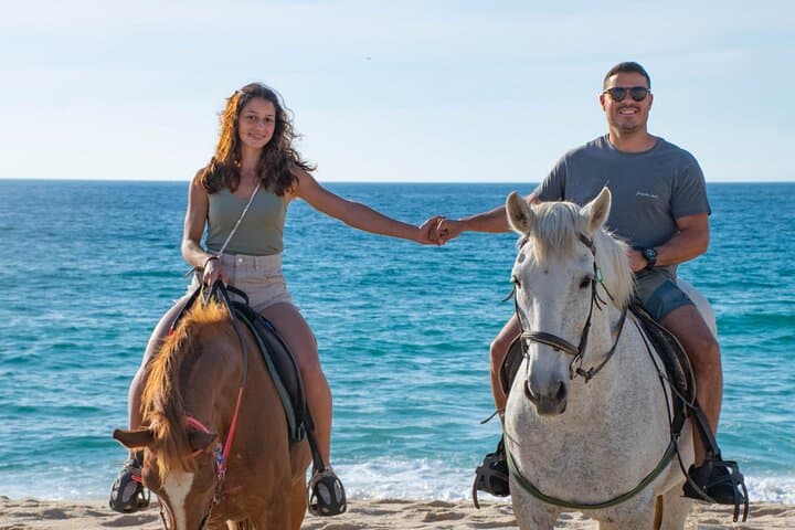 Horse Riding on Melides Beach: Atlantic Forest Trails to Europe’s 65 km Shoreline photo 4