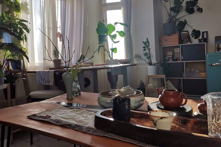 Private Authentic Tea Ceremony in Prague: Chinese Premium Tea Tasting and Brewing Masterclass photo 6