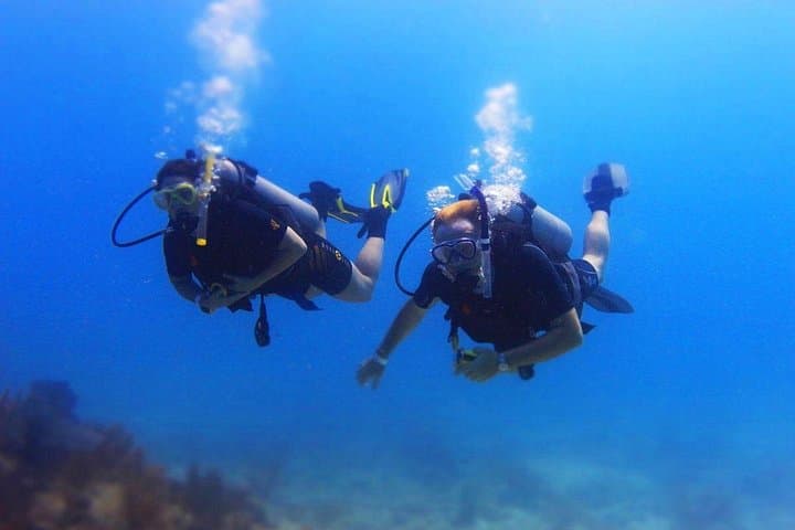 Scuba Diving Maroma Beach: Certified 1- or 2‑Tank Reef Immersion in the Riviera Maya photo 2