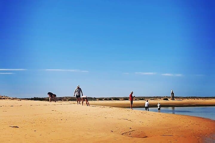 Ria Formosa Boat Tour: Ilha da Culatra & Deserted Beach Escape (3 Hours) photo 4