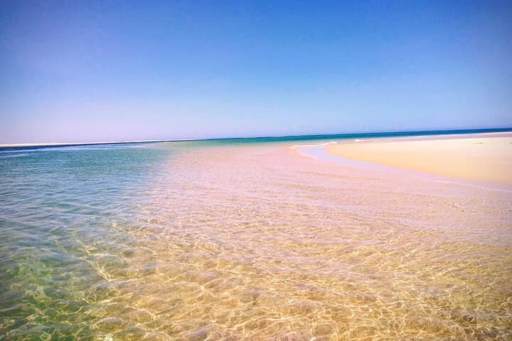5-Hour Ria Formosa Boat Tour to Ilha da Culatra, Deserta & Farol photo 2