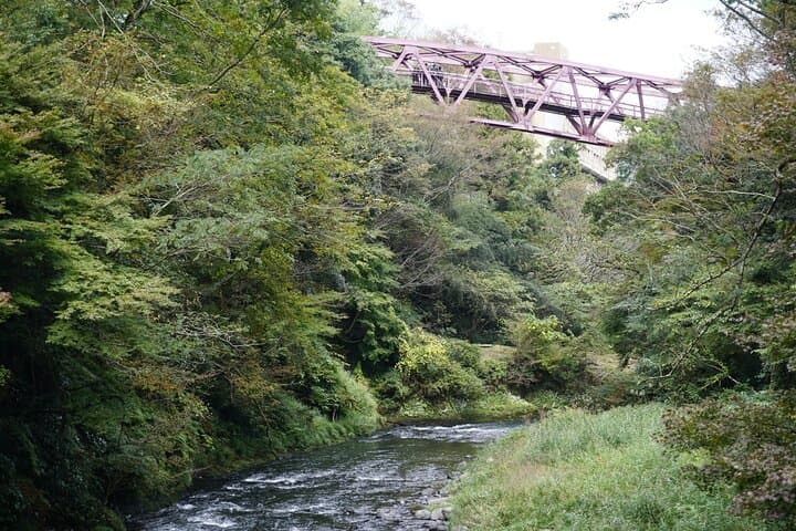 Private Kaga Photoshoot: Full-Day Photographer Tour to Yamanaka, Natadera & Kakusenkei photo 3