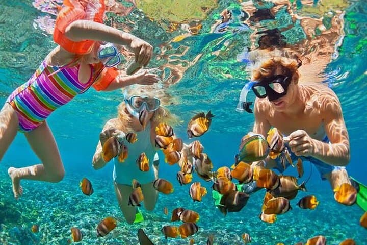 Private Phi Phi & Bamboo Islands Speed Boat Tour from Phuket photo 4