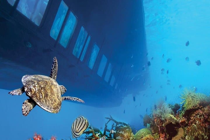 Marsa Alam Semi‑Submarine Cruise — Royal SeaScope Underwater Tour photo 2