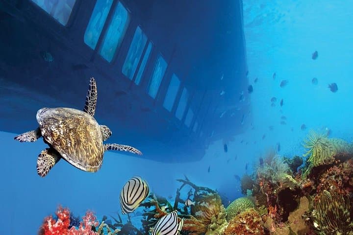 Sharm El-Sheikh Royal Seascope Semi-Submarine Cruise: Red Sea Reef Viewing photo 3
