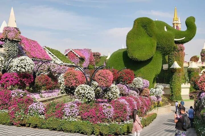 Explore Dubai Miracle Garden: Tickets, Transfers & Visitor Guide photo 6
