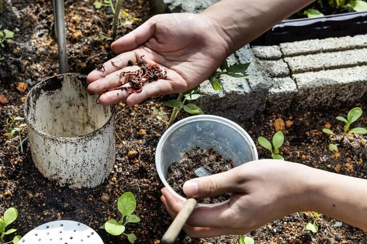 Pokhara Organic Farm Tour & Nepali Cooking Class at Durku photo 5