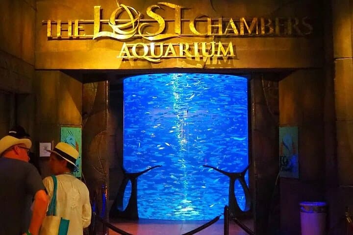 Atlantis Aquaventure & Lost Chambers Super Pass — Full-Day Dubai Waterpark and Aquarium photo 4