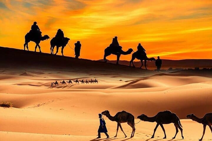 Premium Red Dunes Desert Safari Dubai: Dune Bashing, Camel Rides & Sunset BBQ photo 2