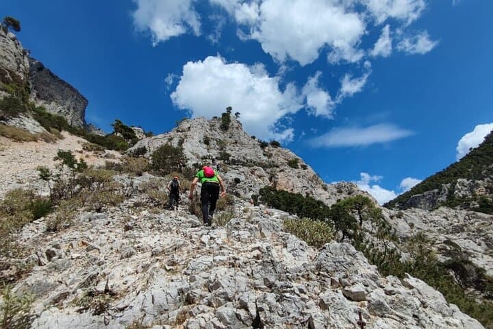 La Grota Via Ferrata: A 3-Hour Vertical Adventure Above Athens photo 5