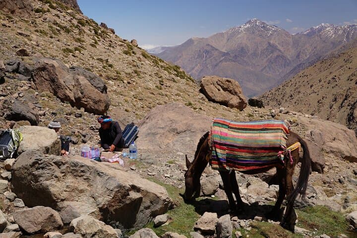 Agafay Desert & Atlas Mountain Camel Ride — Full-Day Tour from Marrakesh photo 6