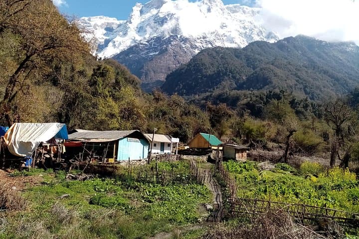 Kapuche Glacier Lake Trek from Pokhara: Hugu & Sikles Glacier Lake Adventure photo 1