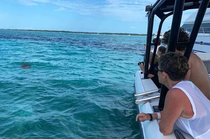 Nassau Private Island Snorkel: Turtles, Beach & BBQ from Paradise Island photo 2