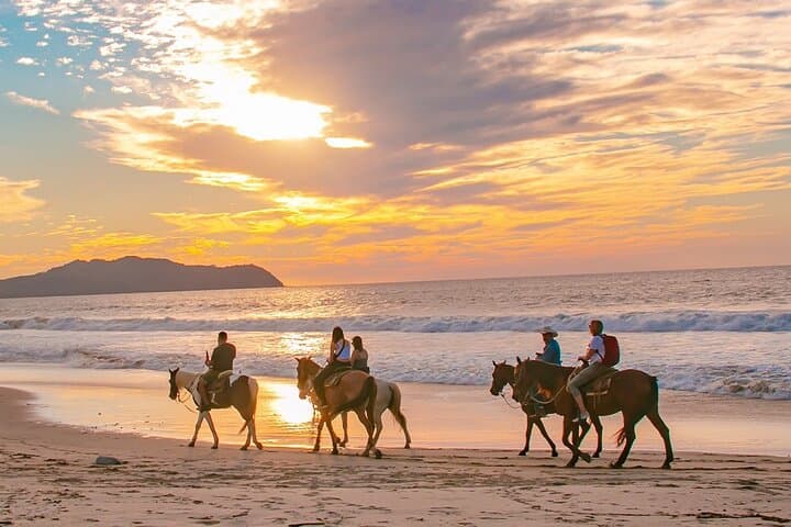 Sayulita Horseback Riding: Jungle Trails to a Hidden Pacific Beach photo 3