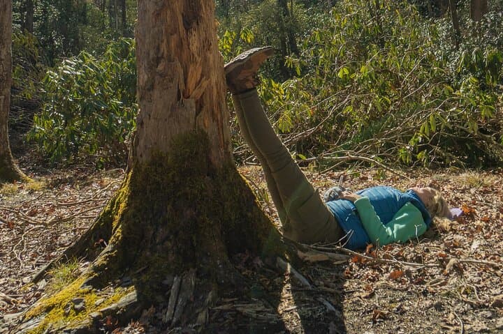 Forest Bathing in Asheville Arboretum: Guided Nature Therapy Walk (2–3 hrs) photo 3