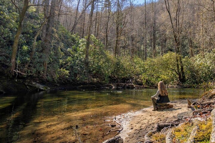 Forest Bathing in Asheville Arboretum: Guided Nature Therapy Walk (2–3 hrs) photo 6