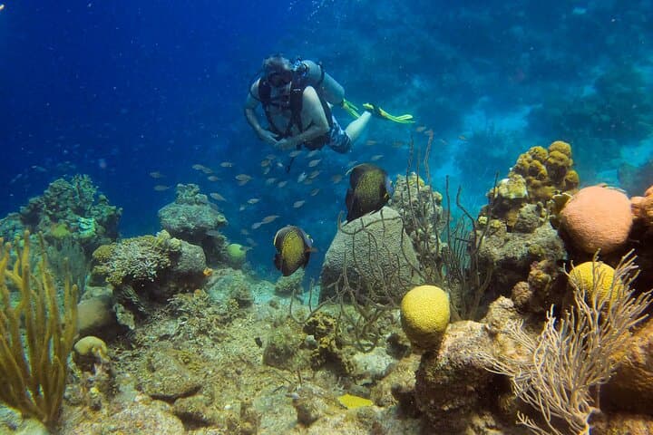 Personalized 2-Tank Shore Dive in Curaçao: Guided Reef Exploration for Certified Divers photo 4