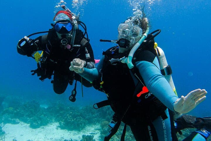 Personalized 2-Tank Shore Dive in Curaçao: Guided Reef Exploration for Certified Divers photo 6