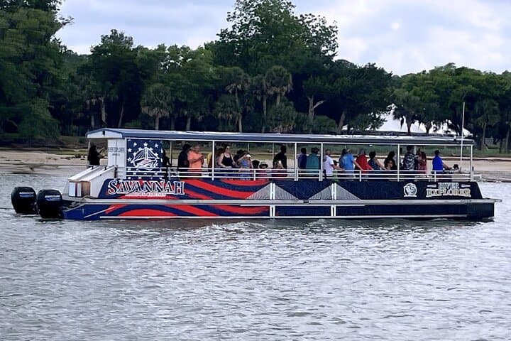 Savannah Dolphin Eco Tour: 2-Hour River Explorer to See Bottlenose Dolphins photo 5