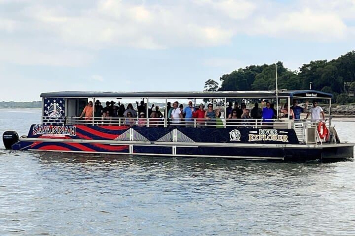 Savannah Dolphin Eco Tour: 2-Hour River Explorer to See Bottlenose Dolphins photo 2