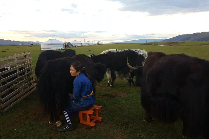 8-Day Gobi and Waterfall Tour — Khongoryn Els, Flaming Cliffs & Yolyn Am photo 1