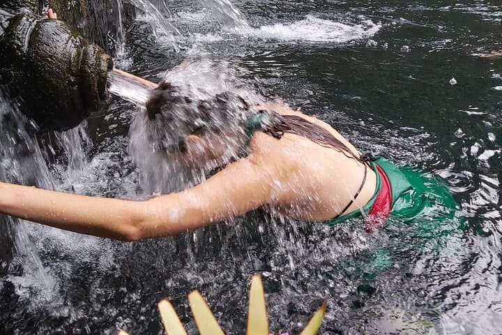Half-Day Ubud Tour: Tegenungan Waterfall, Tirta Empul & Tegallalang Rice Terraces photo 3