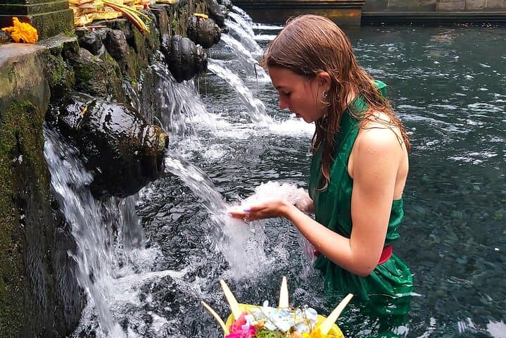 Half-Day Ubud Tour: Tegenungan Waterfall, Tirta Empul & Tegallalang Rice Terraces photo 4