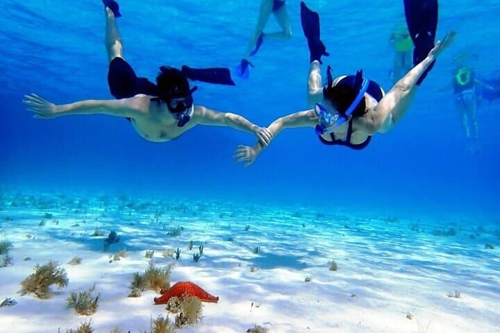 Cozumel El Cielo Sandbar & Palancar-Colombia Reef Private Snorkel Tour