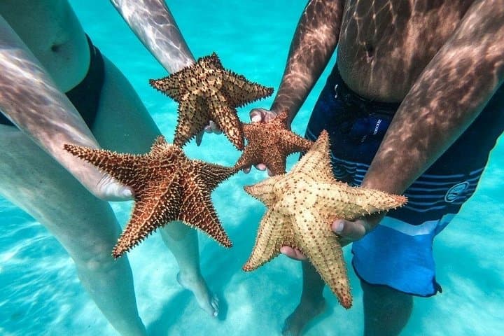 Saona Island Day Tour: Speedboat to Natural Pool, Pristine Beaches & Catamaran Return photo 1