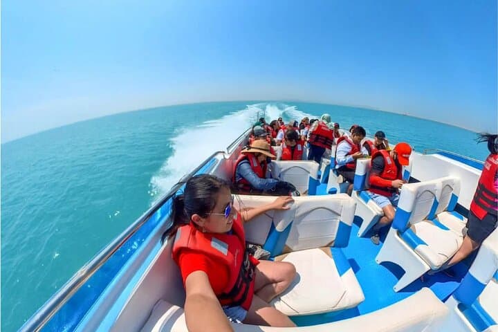 Ballestas Islands, Nazca Lines & Huacachina Day Trip from Lima photo 6