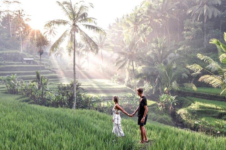 Ubud Private Tour: Tibumana Waterfall, Tegalalang Rice Terraces & Jungle Swing photo 3