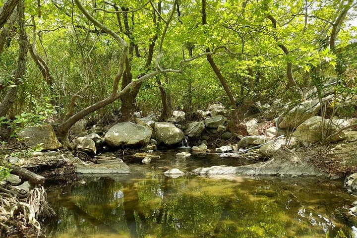 Riverbank Adventure in Naxos: Kinidaros to Eggares Hike photo 1