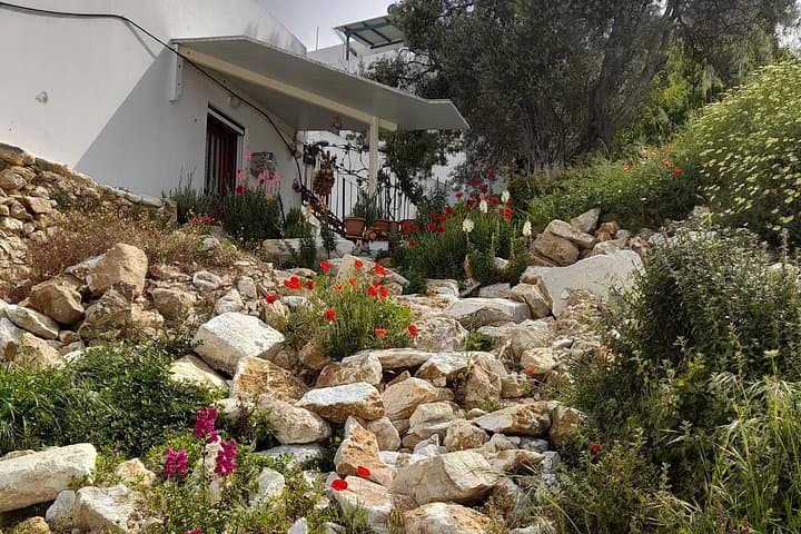 Riverbank Adventure in Naxos: Kinidaros to Eggares Hike photo 3