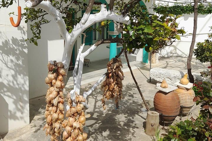 Riverbank Adventure in Naxos: Kinidaros to Eggares Hike photo 4