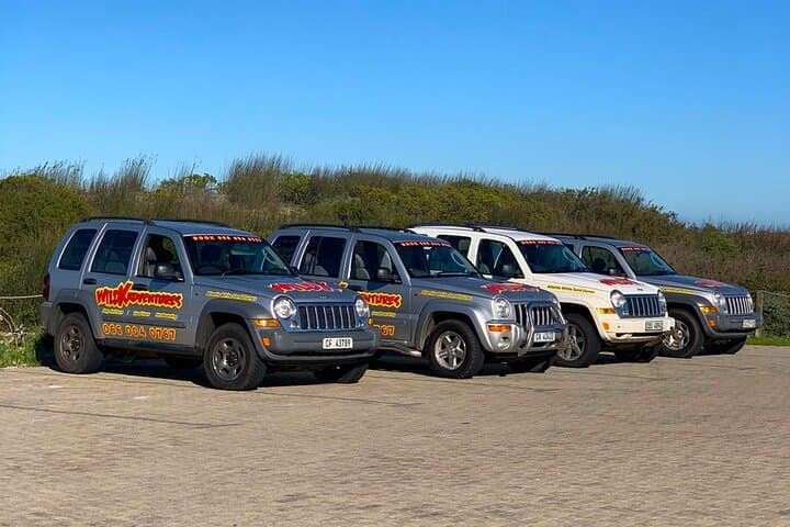 Jeep 4x4 and Glam Sandboarding at Atlantis Dunes, Cape Town photo 2