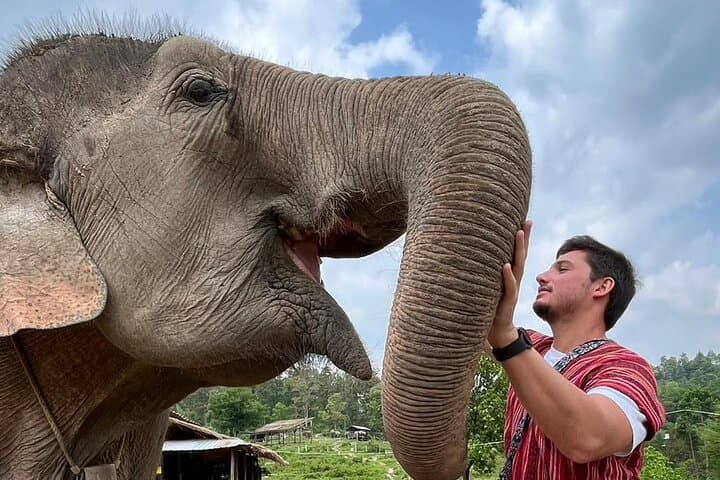 Chiang Mai Ethical Elephant Experience: 1-Day Eco Tour photo 5