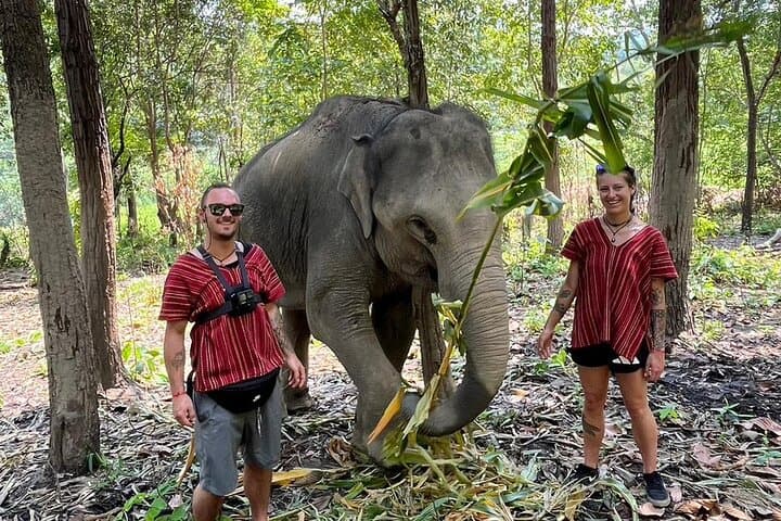 Chiang Mai Ethical Elephant Experience: 1-Day Eco Tour photo 6