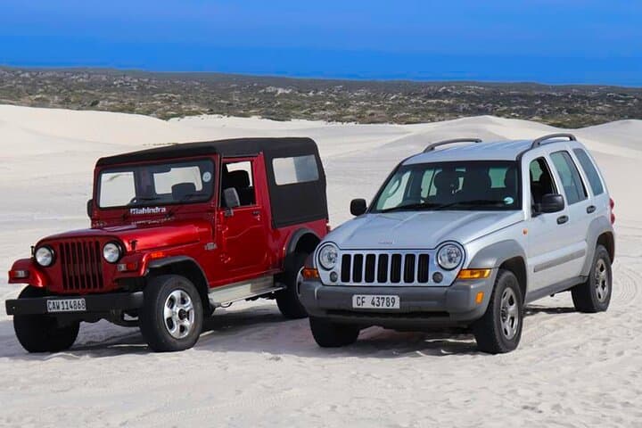 Sandboarding the Atlantis White Dunes: 4x4 Jeep Ride & Boards near Cape Town photo 4