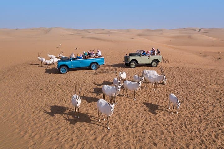 Sunrise Hot Air Balloon and Drone Show over the Dubai Desert photo 4