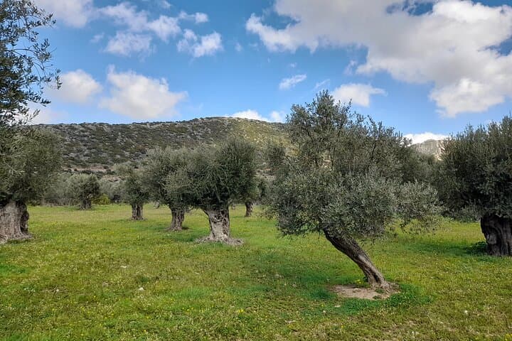 Hike Naxos’ Tragea Valley: Villages, Byzantine Churches & Kitron Tasting photo 2