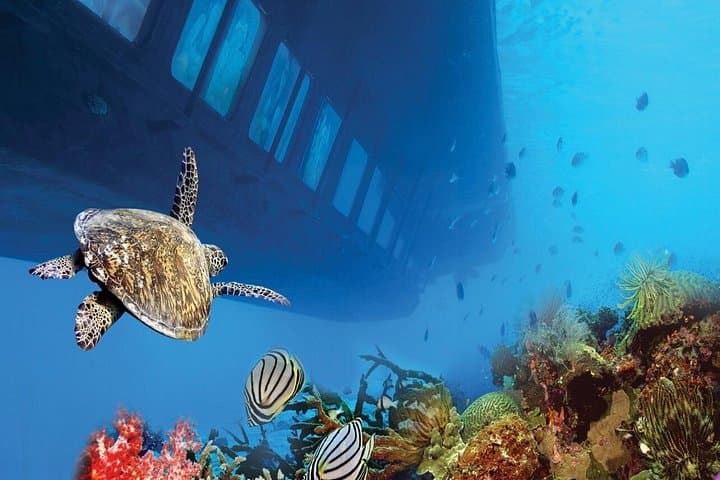 Red Sea Semi‑Submarine Cruise: Safaga & Makadi Bay Royal Seascope Experience photo 2