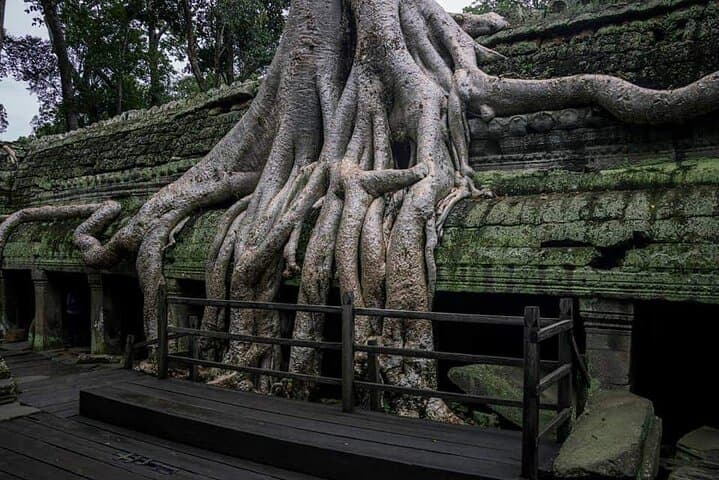 Private Angkor Complex Discovery — Angkor Wat, Bayon & Ta Prohm Full-Day Tour photo 2