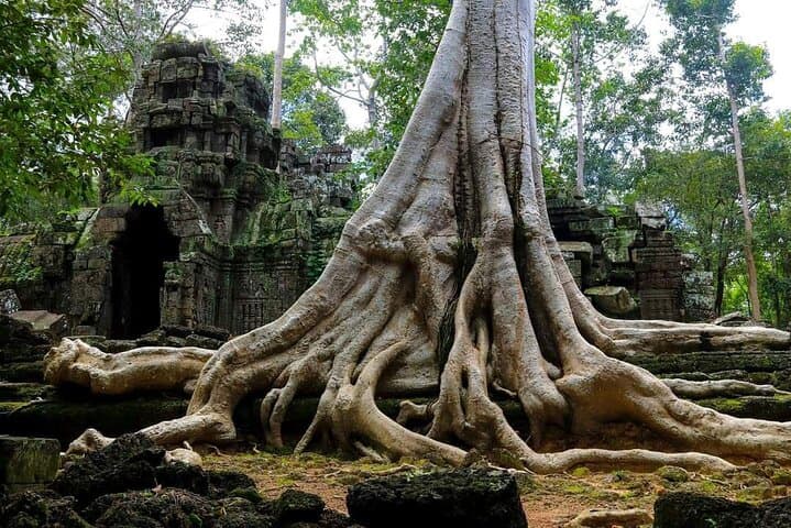 Private Angkor Complex Discovery — Angkor Wat, Bayon & Ta Prohm Full-Day Tour photo 4