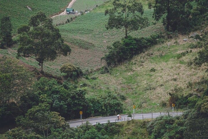 Medellín Road Bike Tour: Climb Alto de Palmas and Valley Views photo 5